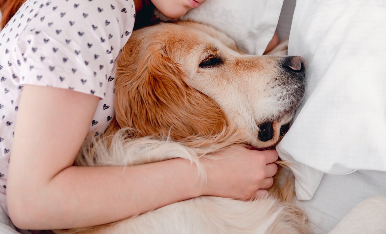 レトリーバー,パナソニック,からまないブラシ,掃除機