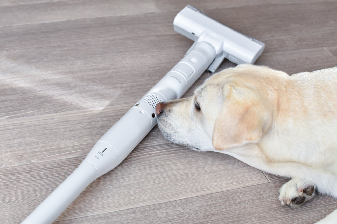 レトリーバー,パナソニック,からまないブラシ,掃除機