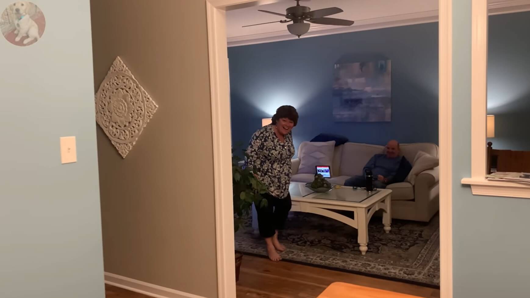 ゴールデンレトリーバー,動画