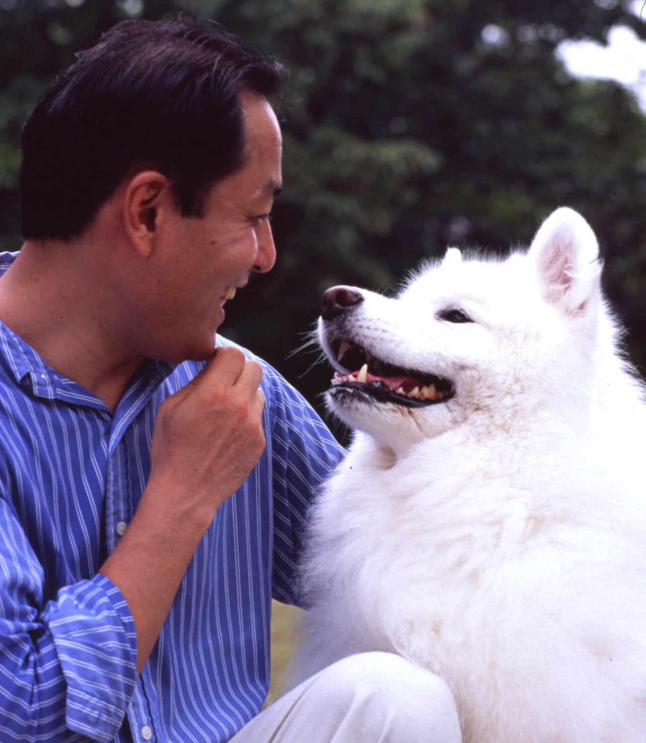 レトリーバー,取材,D.I.N.G.O.