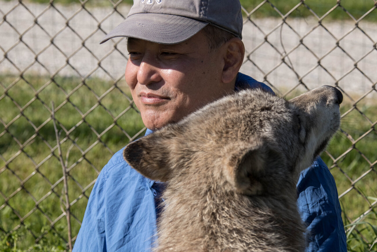 レトリーバー,取材,D.I.N.G.O.