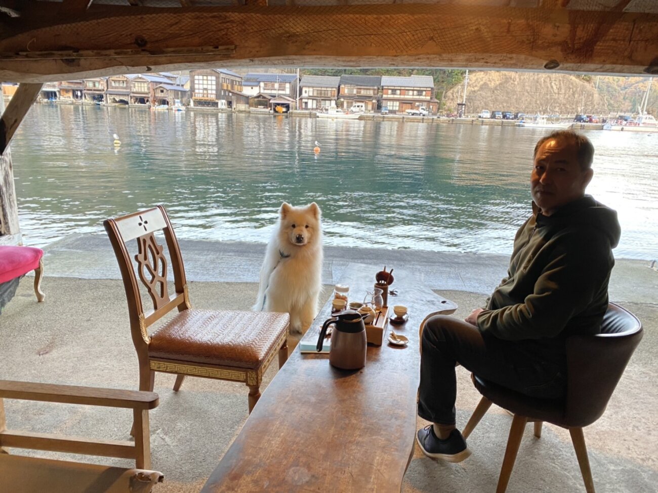 レトリーバー,取材,D.I.N.G.O.