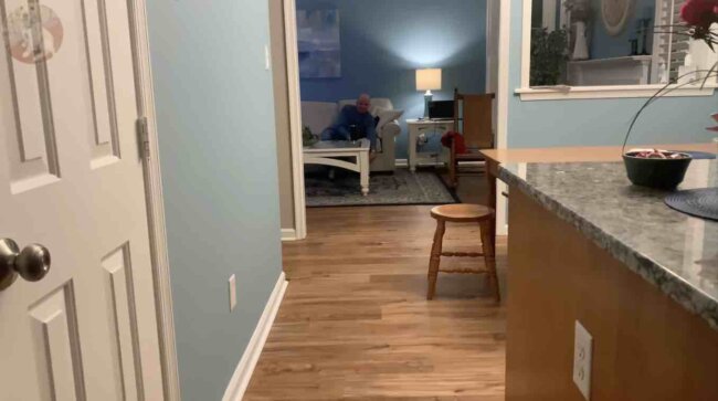 ゴールデンレトリーバー,動画