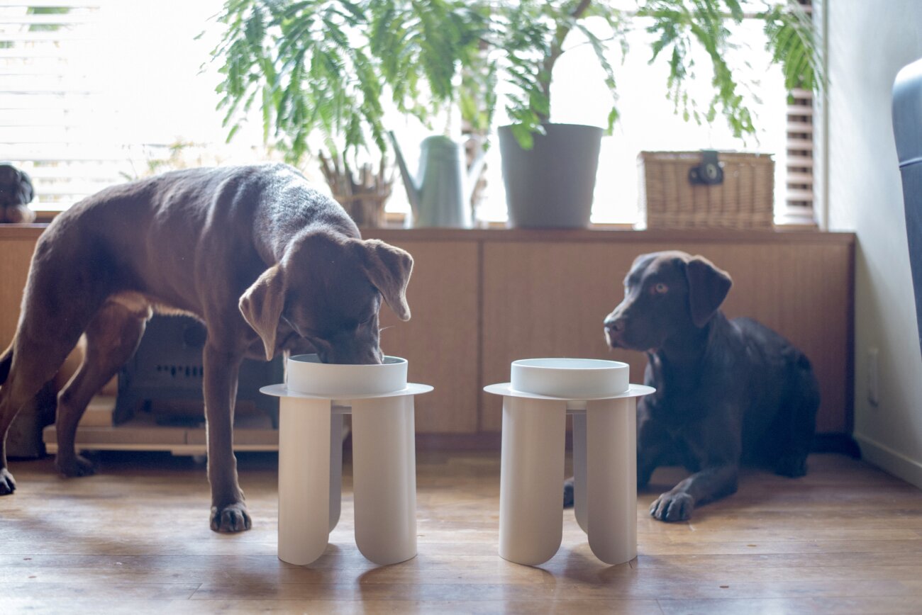 レトリーバー,フードボウル,フードテーブル,IKIGAIテーブル リネン