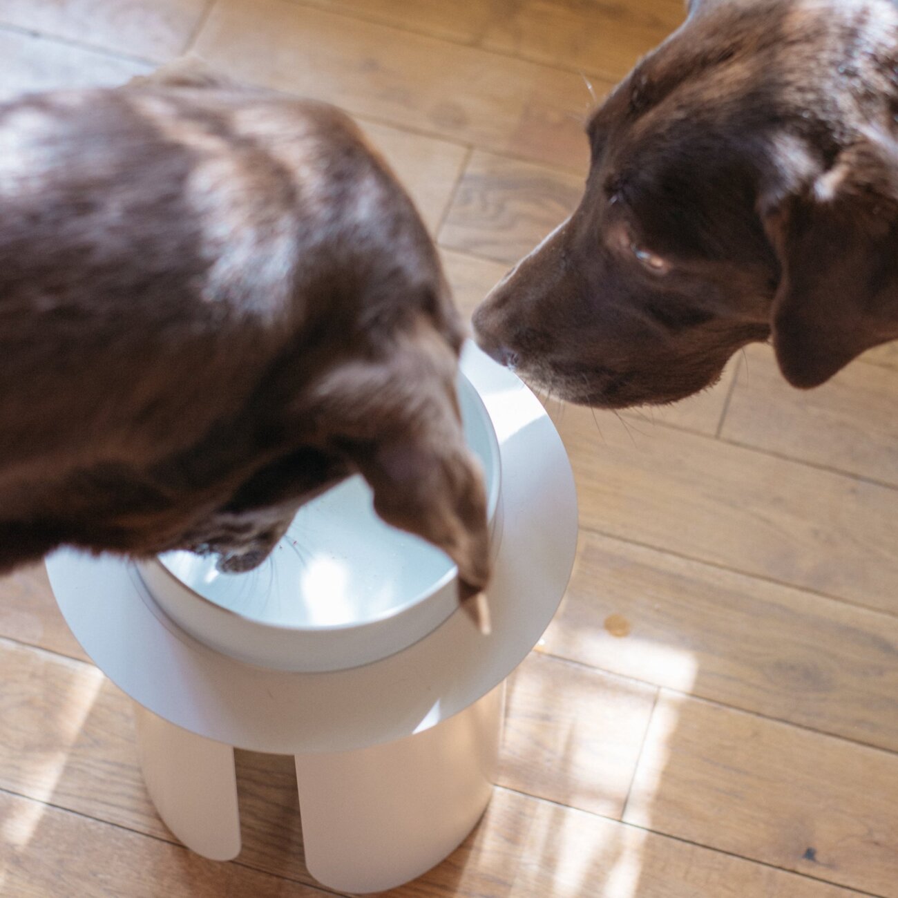 レトリーバー,フードボウル,フードテーブル,IKIGAIテーブル リネン