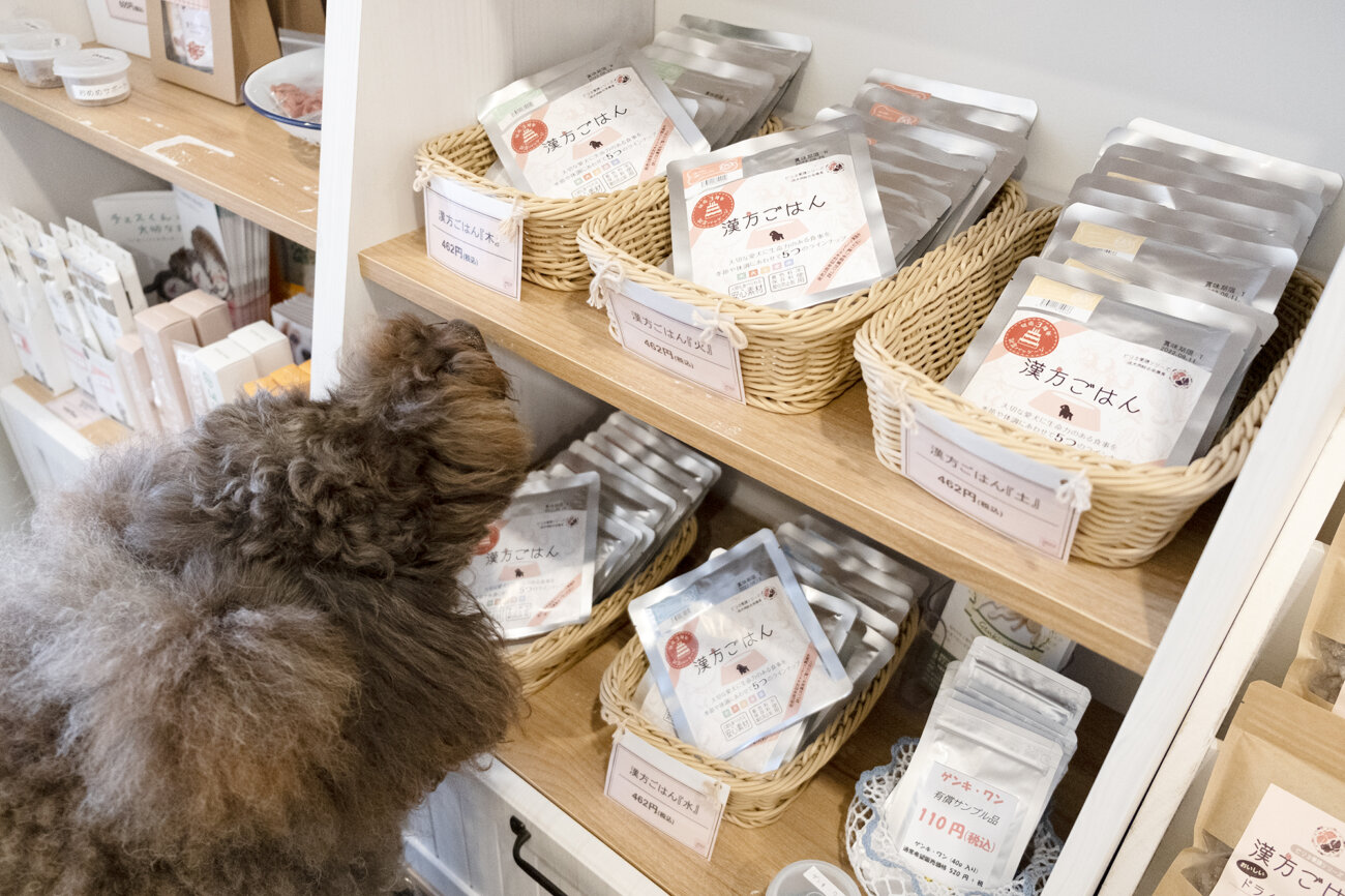 レトリーバー,取材,ピリカメディカルサロン