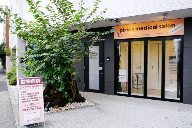 レトリーバー,取材,ピリカメディカルサロン