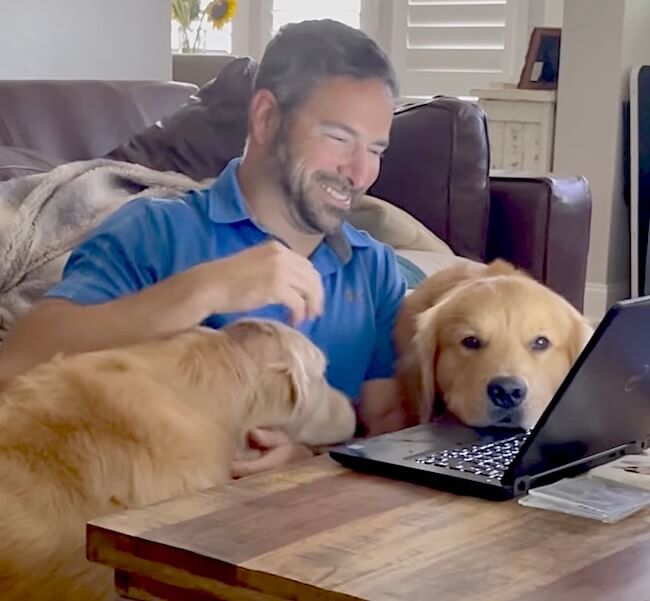 ゴールデンレトリーバー,動画