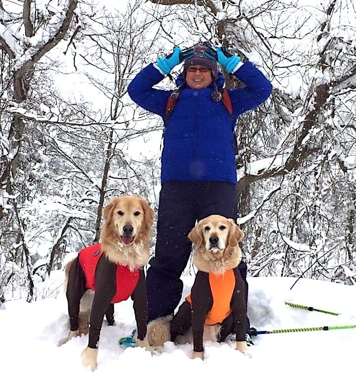 ゴールデンレトリバー