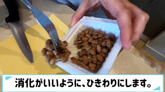 ラブラドールレトリーバー,動画