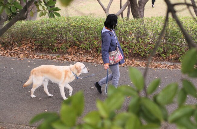 レトリーバー,取材