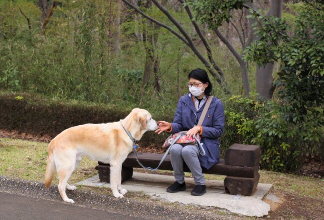 レトリーバー,取材