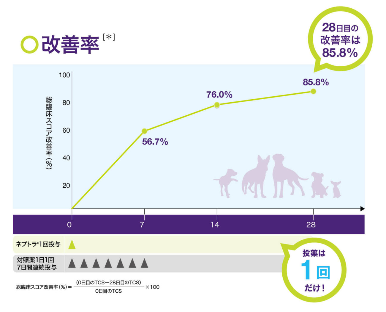 レトリーバー,レトリバー,外耳炎,ネプトラ