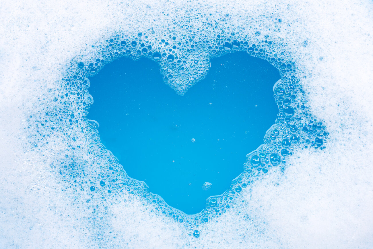 レトリーバー,ウルフギャング,リード,首輪,ハーネス