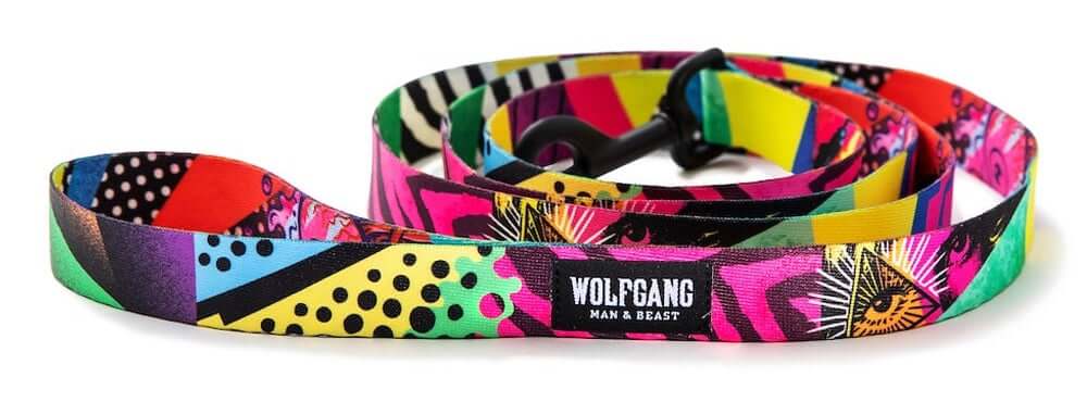 レトリーバー,ウルフギャング,リード,首輪,ハーネス