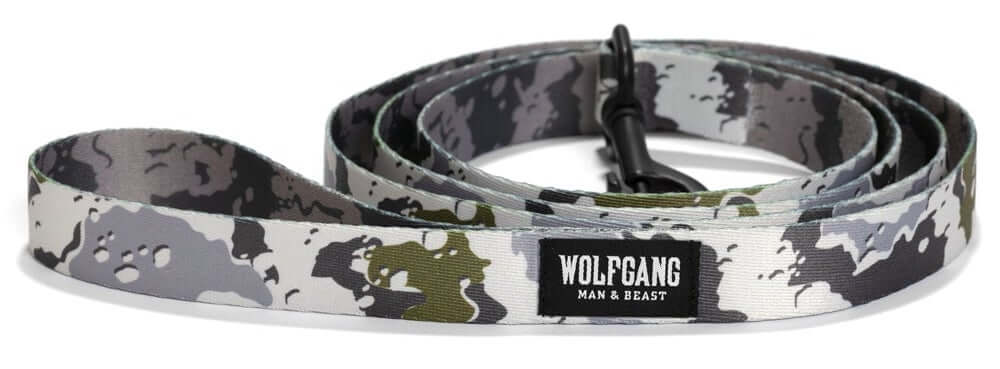 レトリーバー,ウルフギャング,リード,首輪,ハーネス