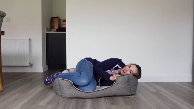 ゴールデンレトリーバー,動画