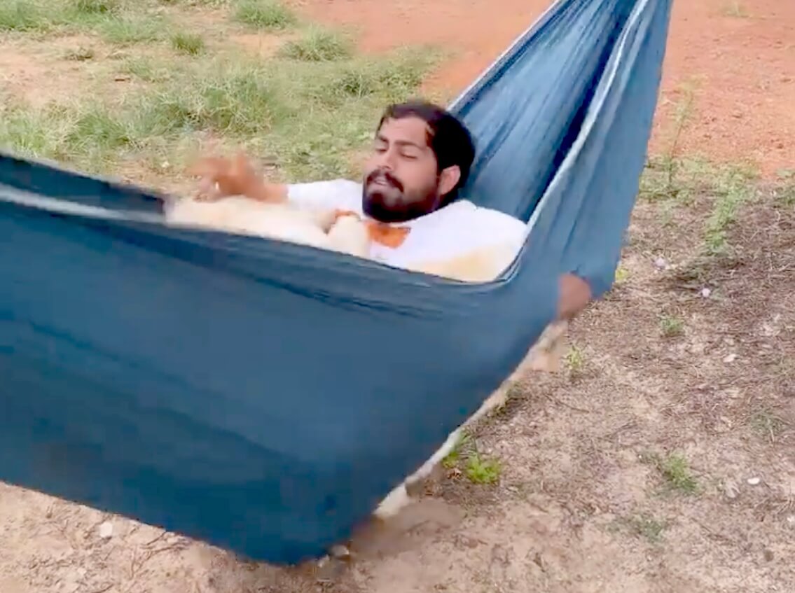 ゴールデンレトリーバー,動画