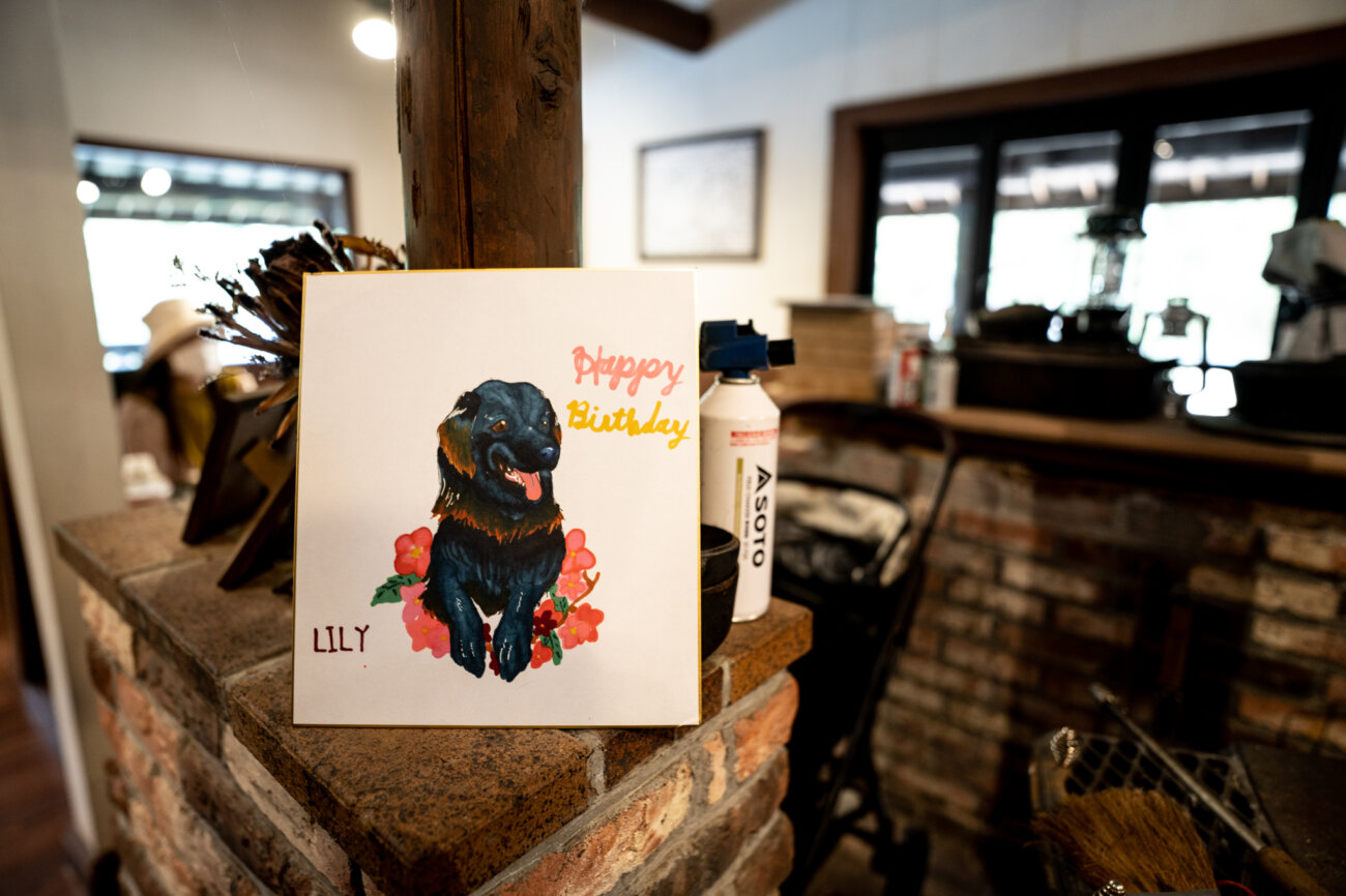 レトリーバー,宿,Lily's Garden