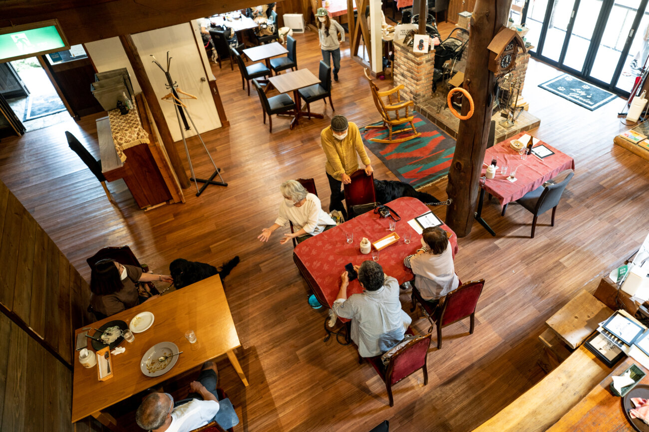 レトリーバー,宿,Lily's Garden