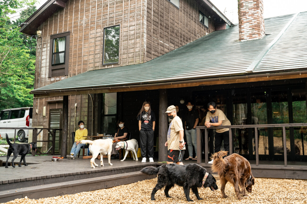 レトリーバー,宿,Lily's Garden