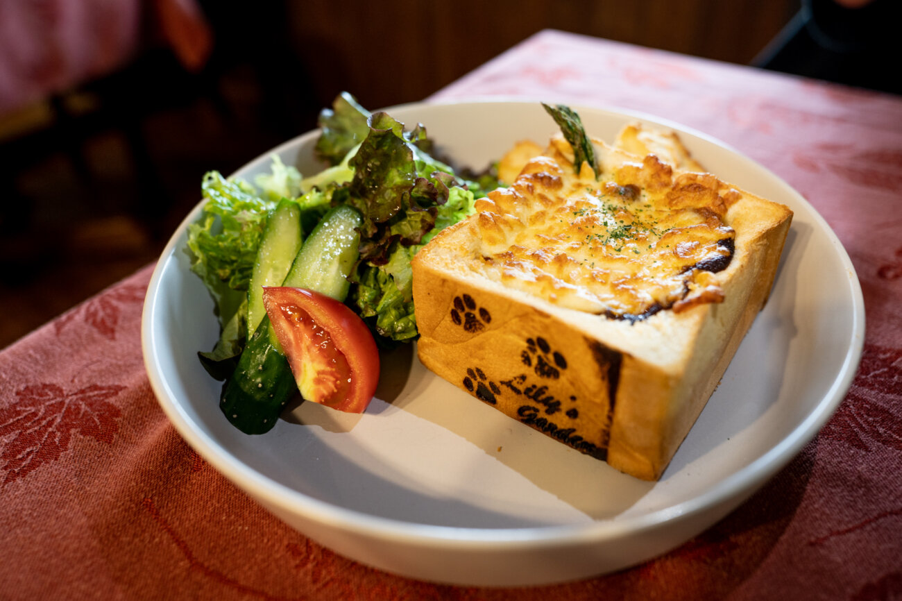 レトリーバー,宿,Lily's Garden