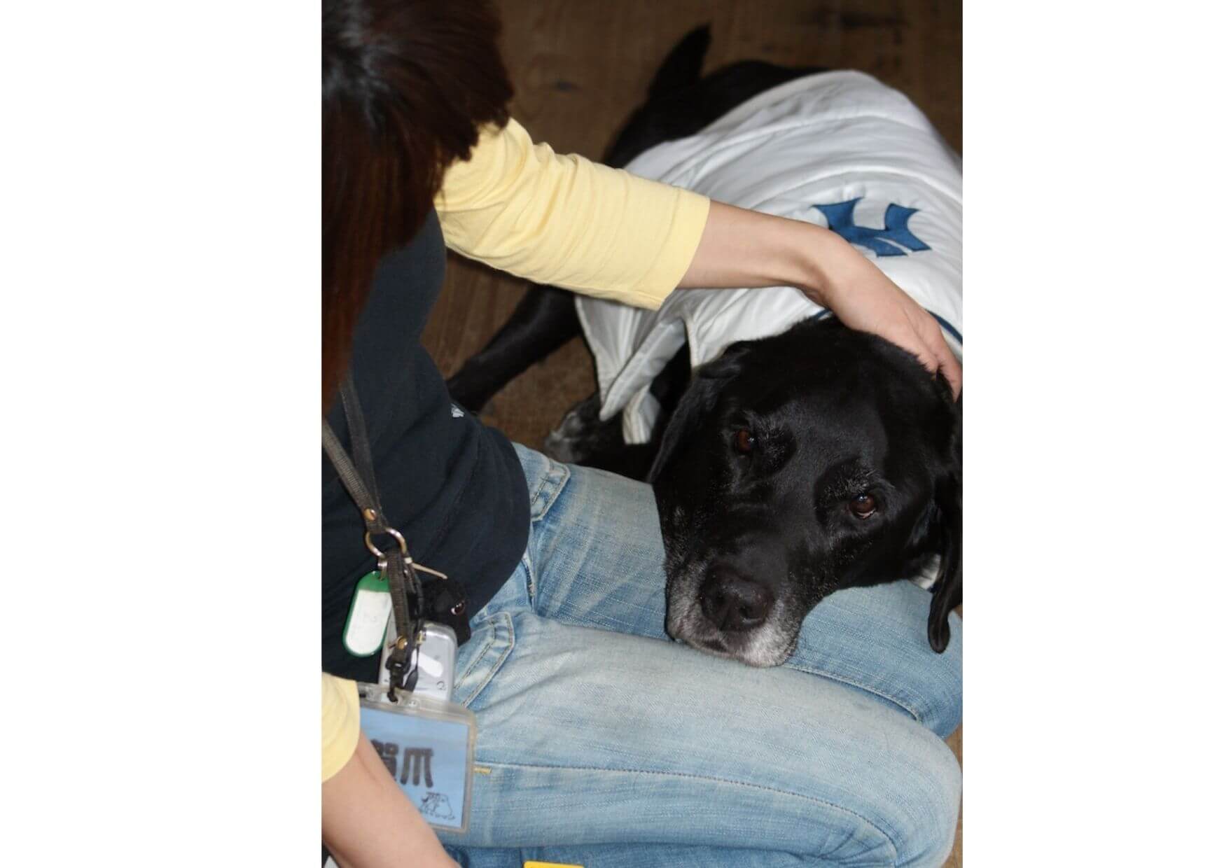 黒ラブ,はまじぃ