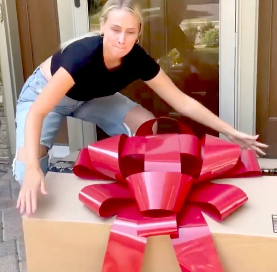 ゴールデンレトリーバー,動画