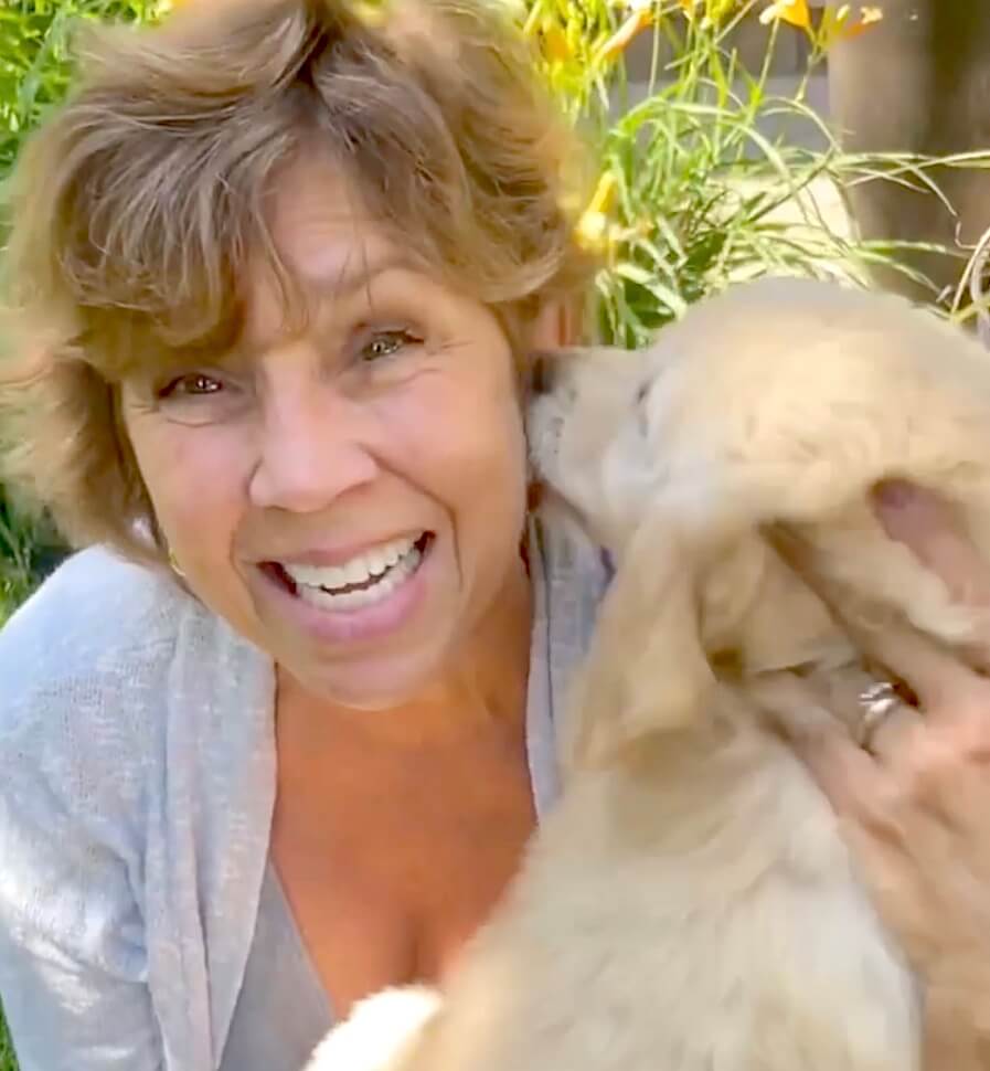 ゴールデンレトリーバー,動画