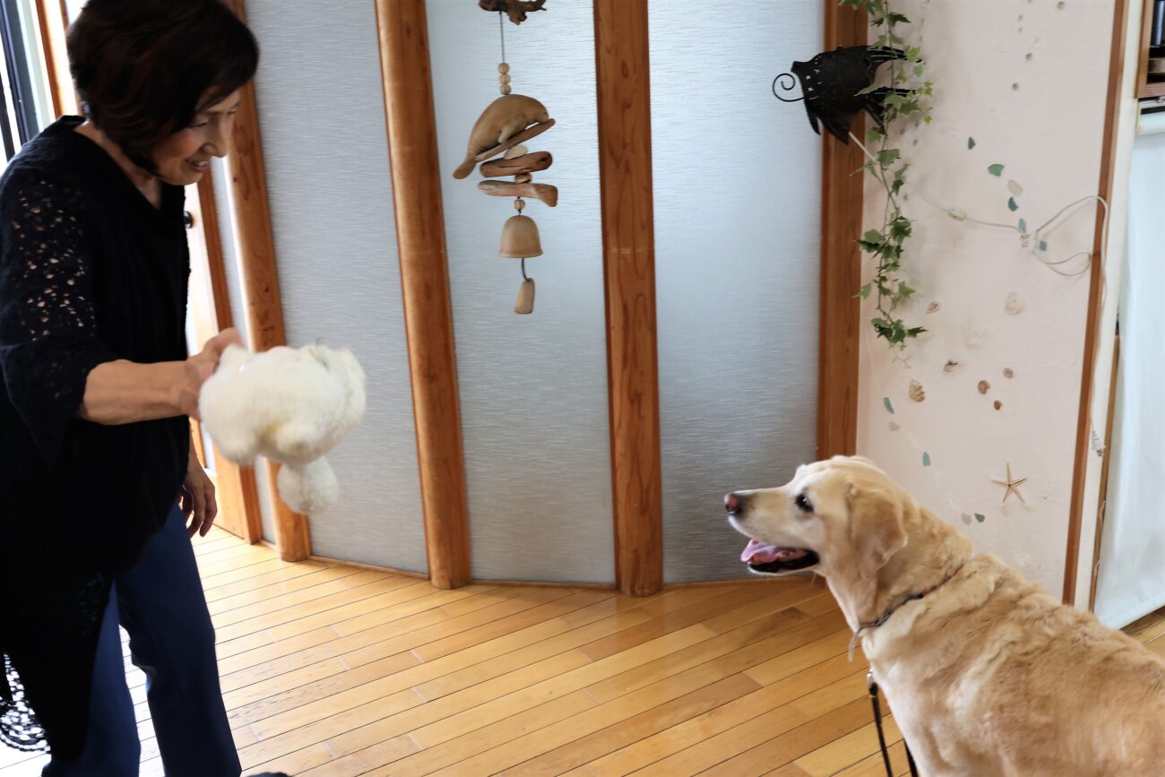 レトリーバー,取材