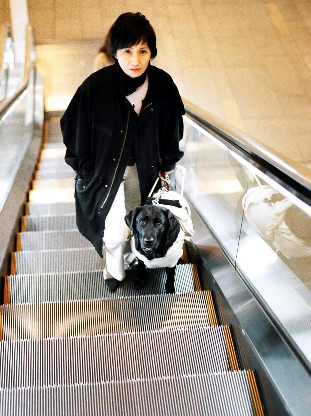 レトリーバー,取材