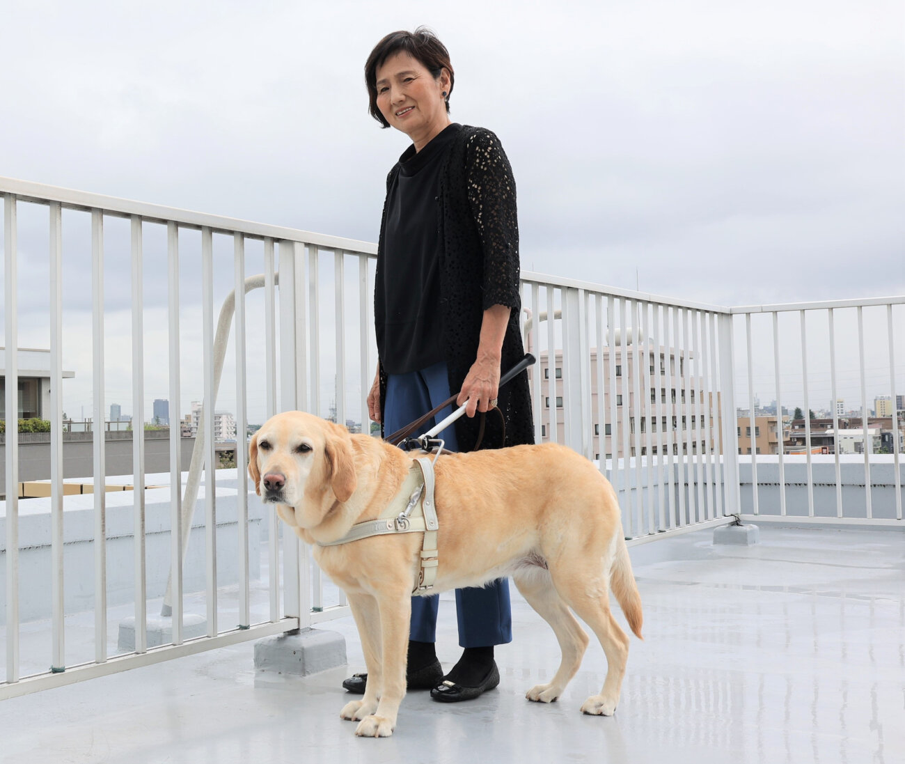 レトリーバー,取材