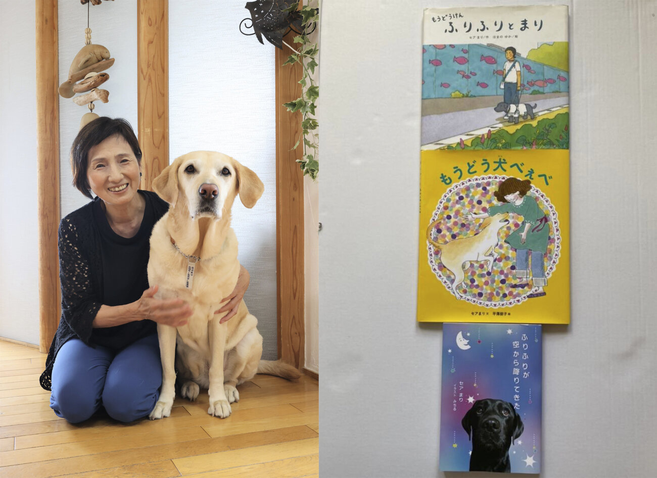 レトリーバー,取材