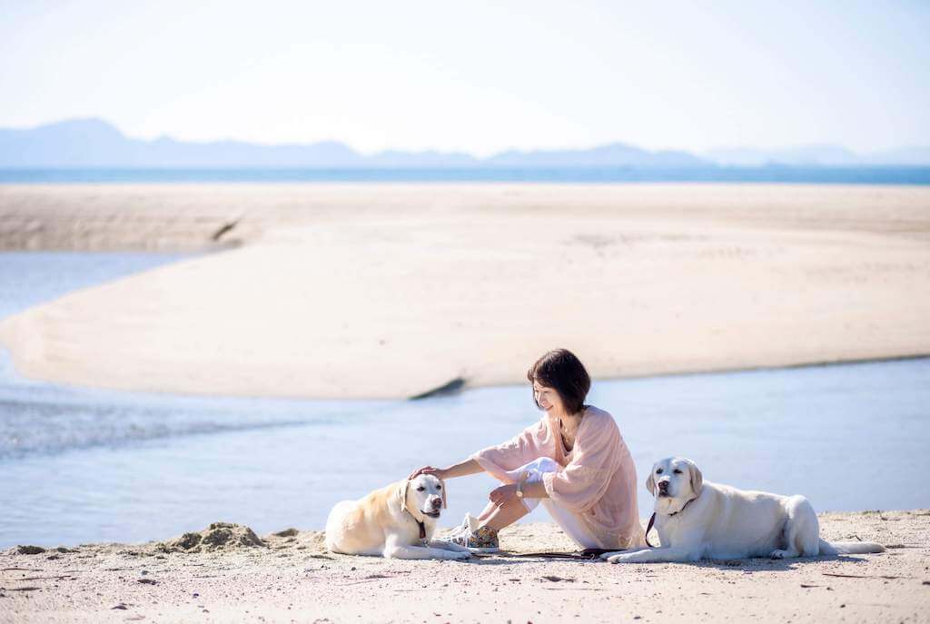 ラブラドールとその家族