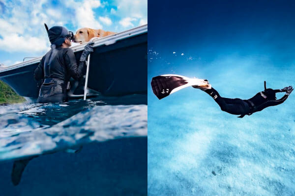 レトリーバー,取材