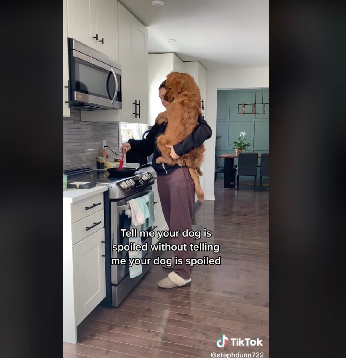 ゴールデンレトリーバー,動画