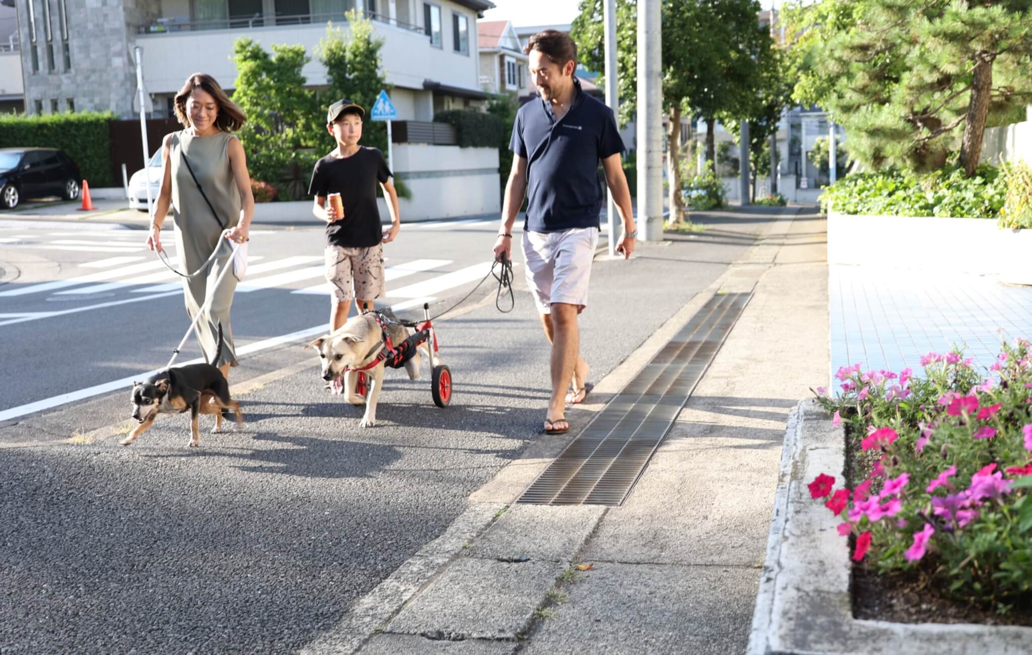 レトリーバー,取材