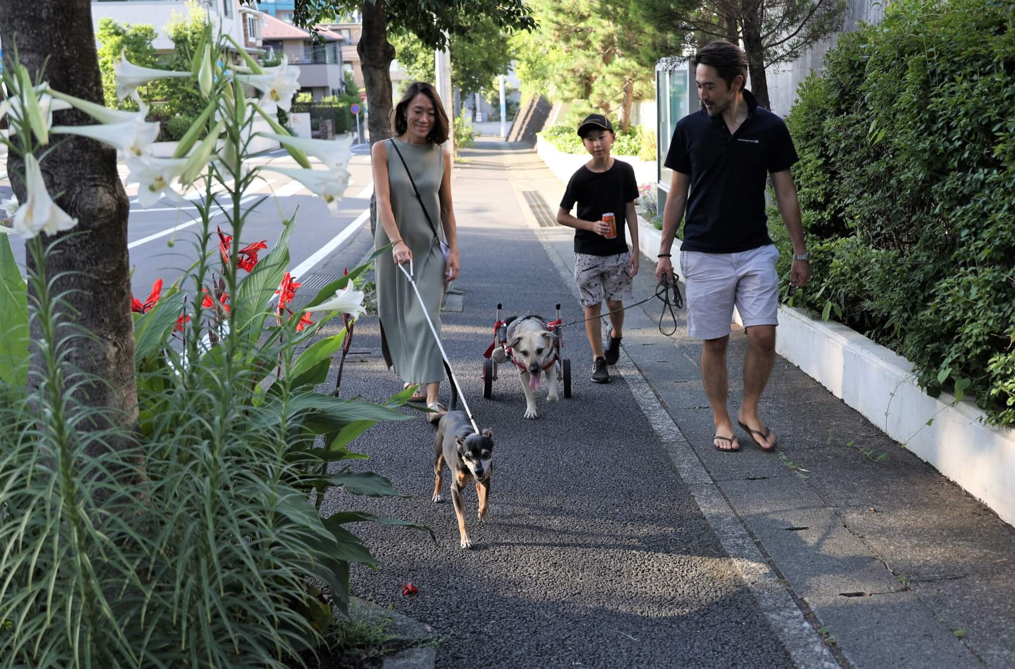 レトリーバー,取材