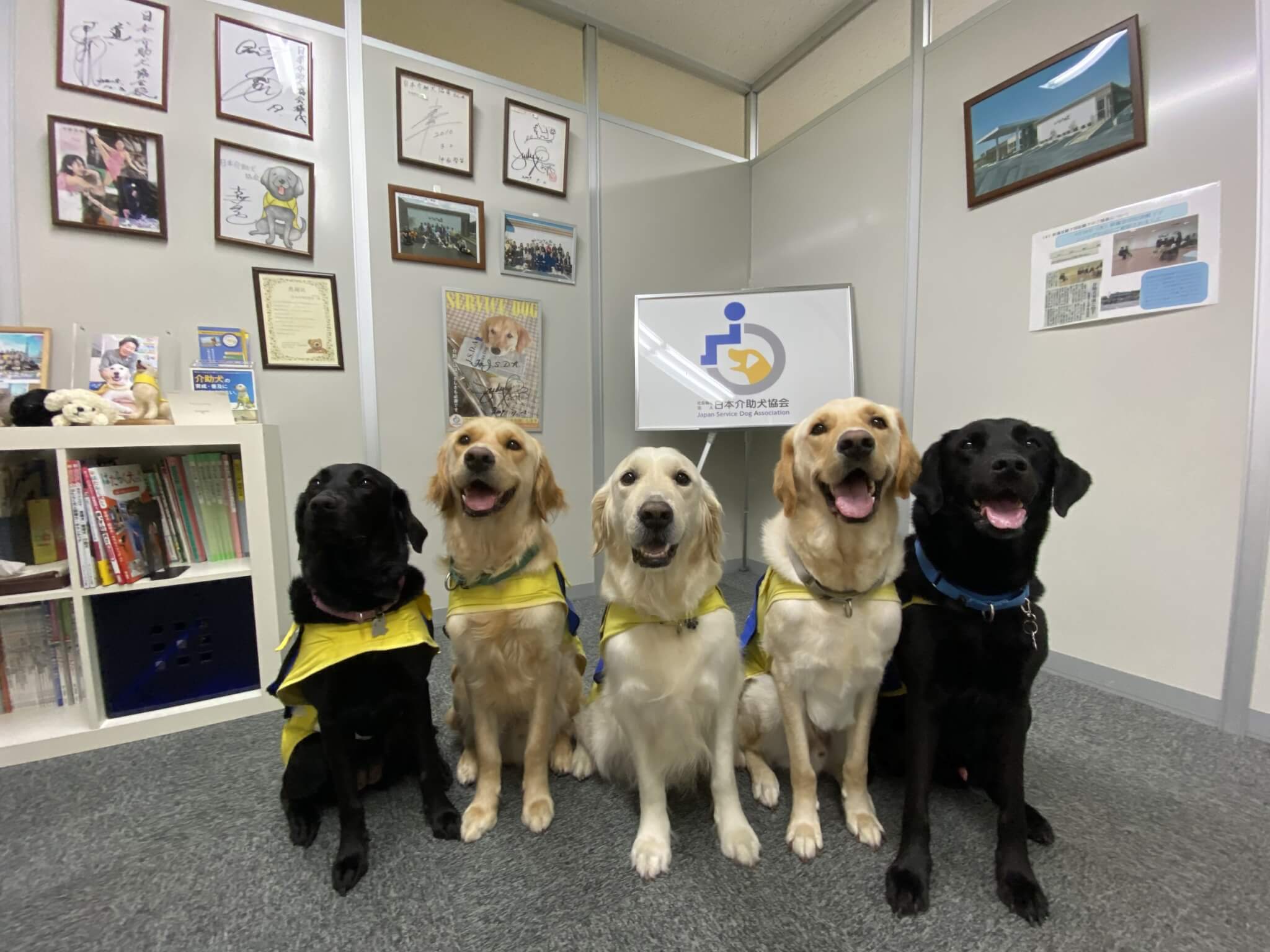 レトリーバー,取材