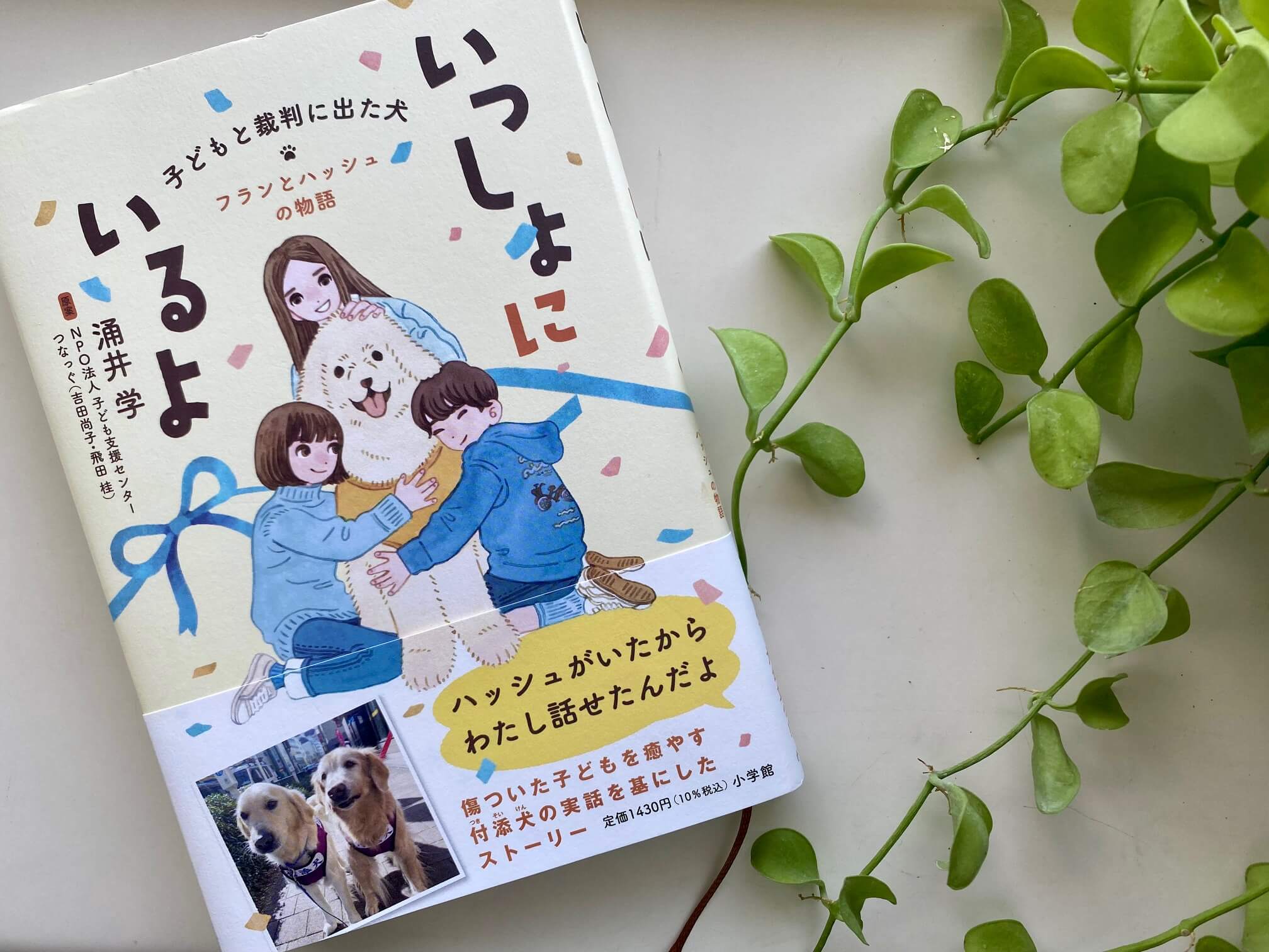 レトリーバー,取材