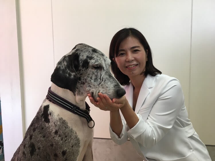 レトリーバー,取材