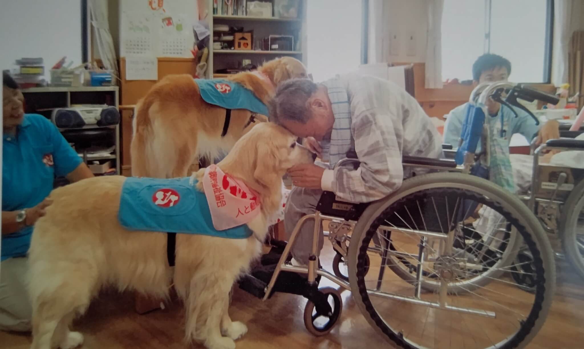 レトリーバー,取材