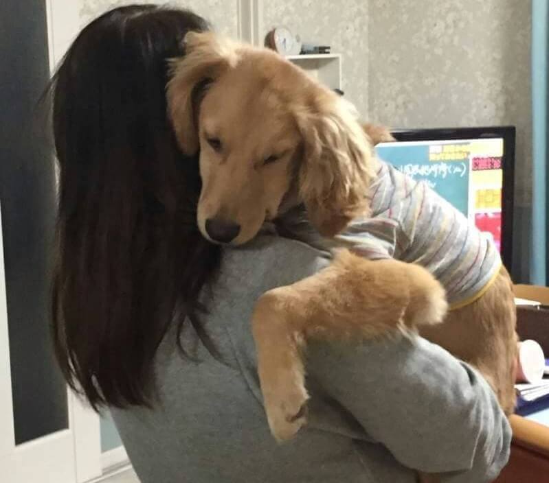 レトリーバー,取材