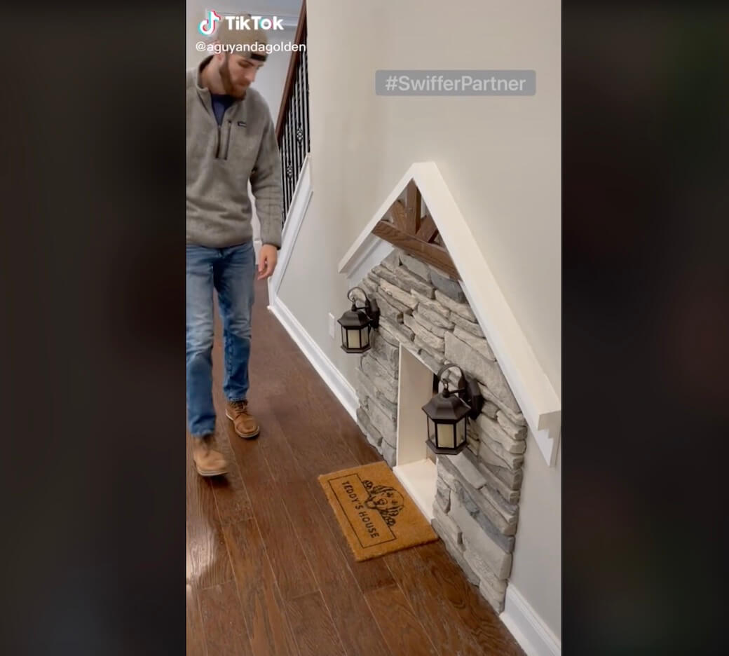 ゴールデンレトリーバー,動画