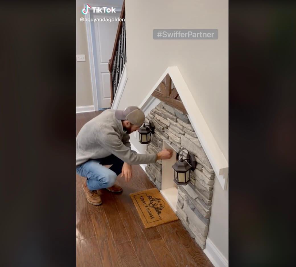 ゴールデンレトリーバー,動画