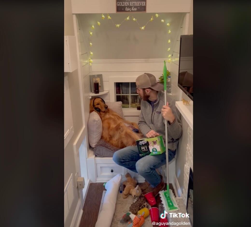 ゴールデンレトリーバー,動画