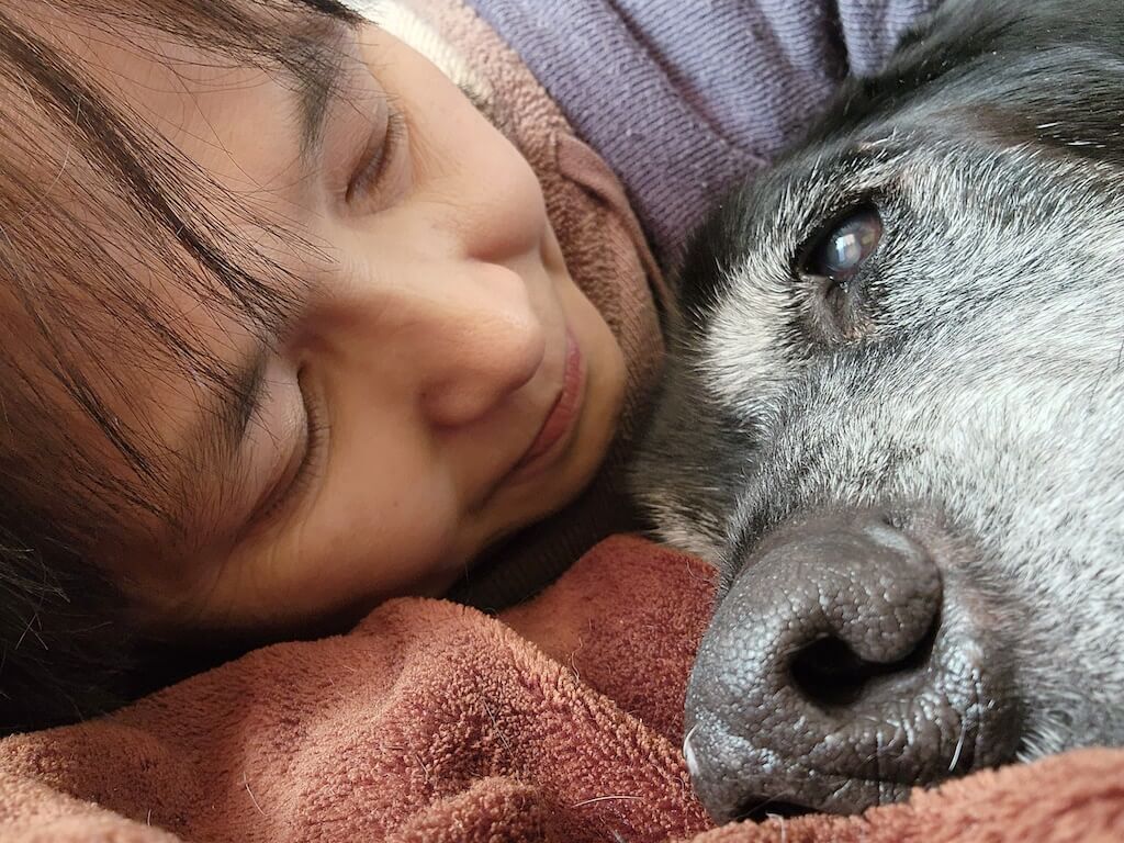 黒ラブと飼い主