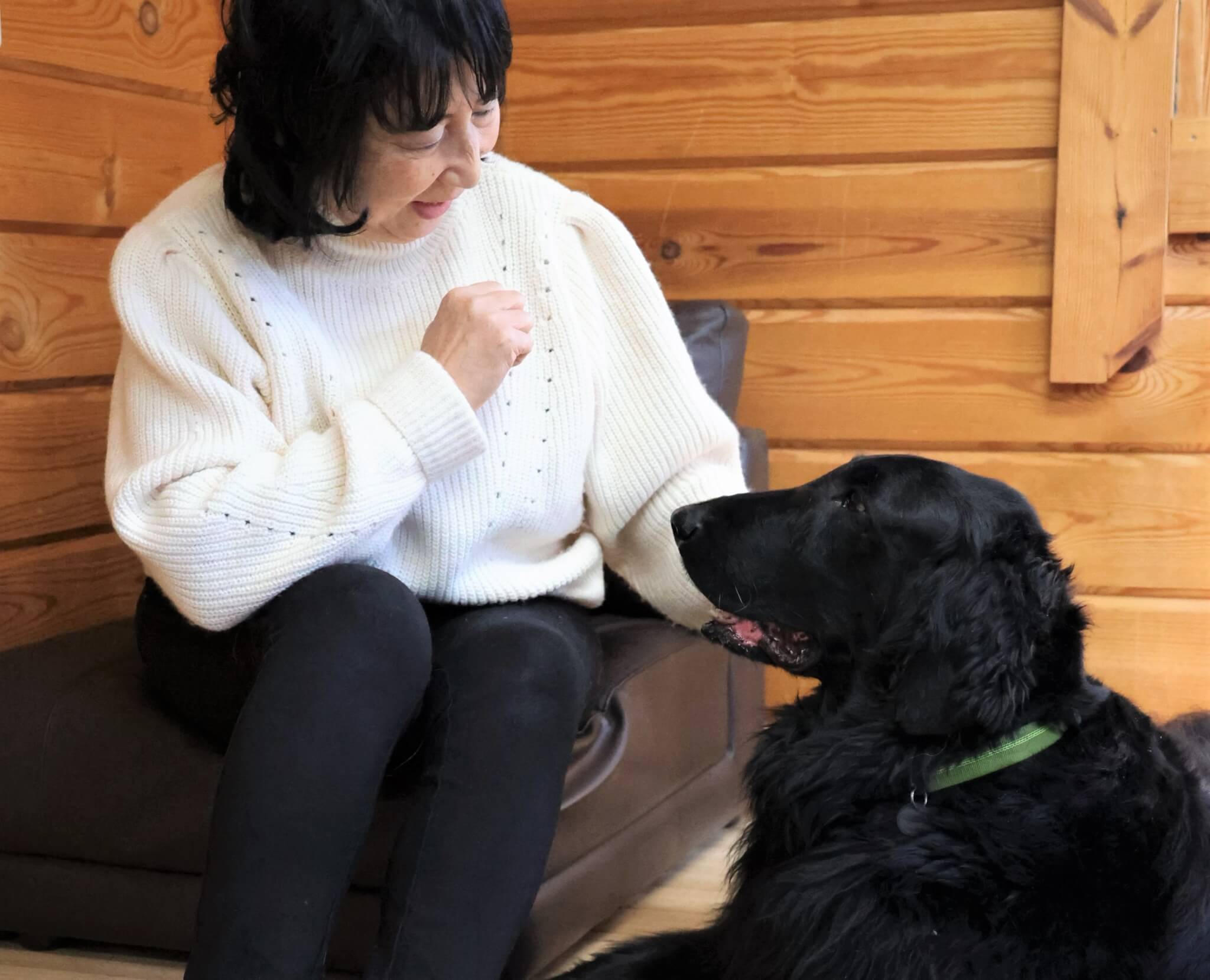 レトリーバー,取材