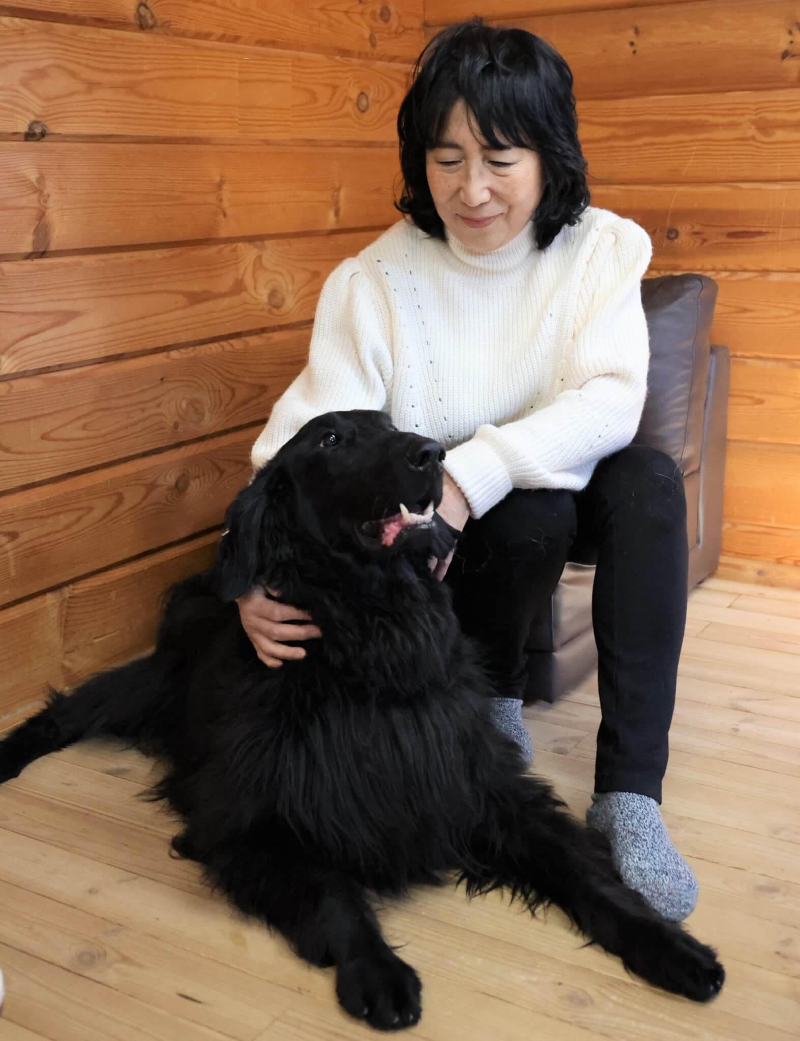 レトリーバー,取材