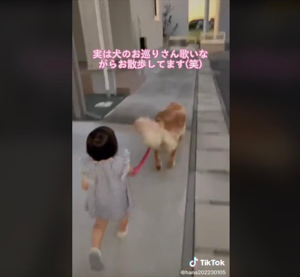 ゴールデンレトリーバー,動画